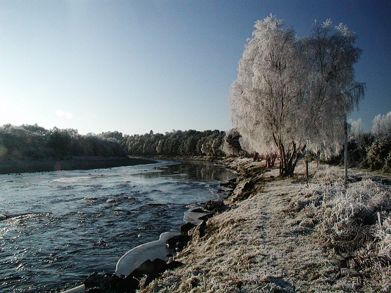 River Findhorn,Red Craig Pool,Dec 2008.