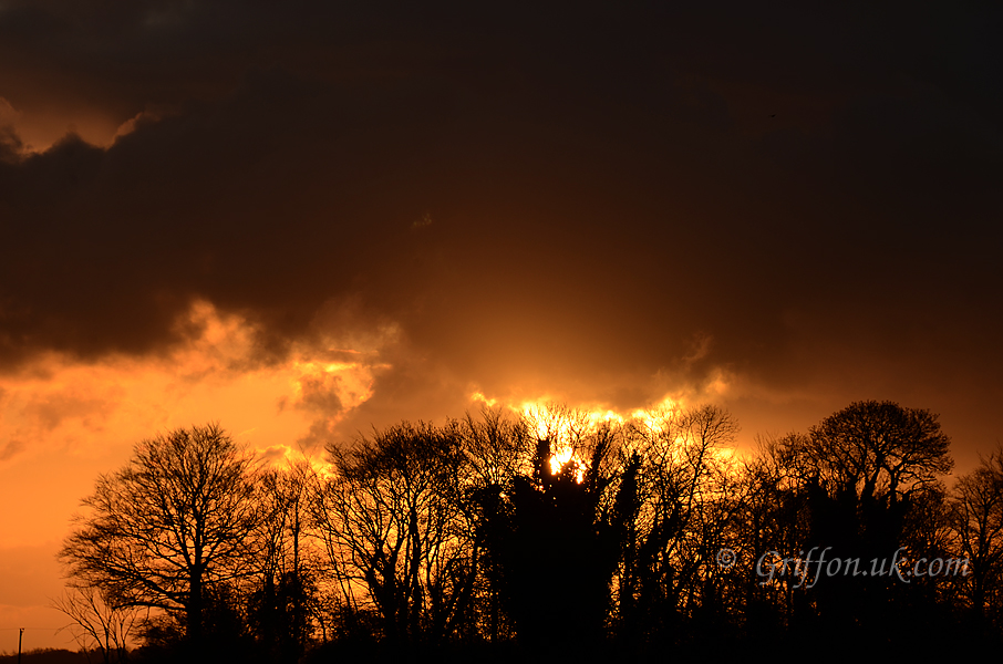 The Devil Went Down to Georgia'.