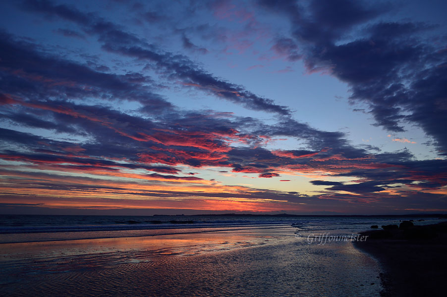 Tipping the Pink, Findhorn Beach.