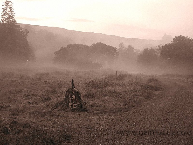 Ardtornish Estate (800x600), p9300448a.