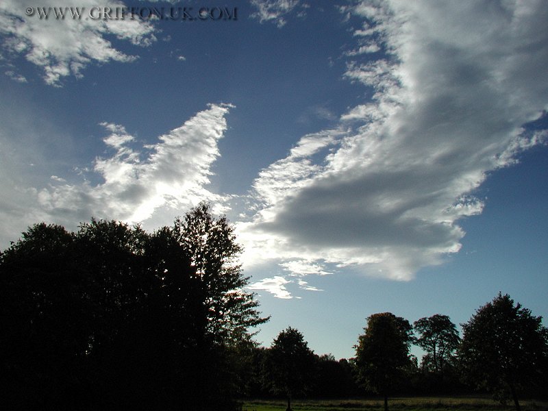 Brodie Castle Grounds. (800x600), pa200616.