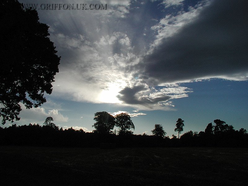 Brodie Castle Grounds. 800x600), pa200625.