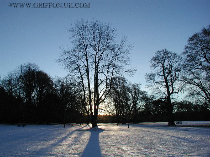 Brodie Castle Grounds, (800x600), pc270182.