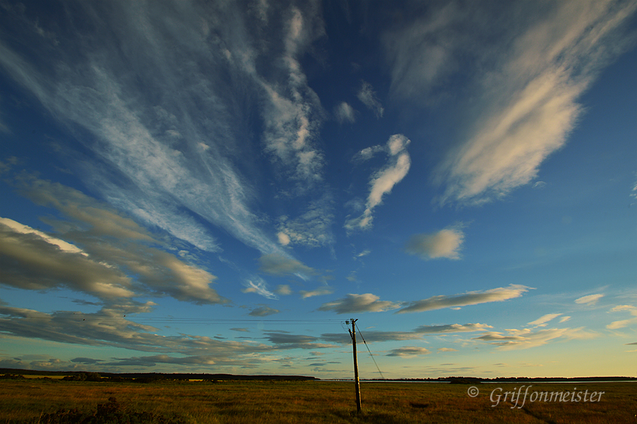 'Pole Dancer' Findhorn Bay, July 2014.